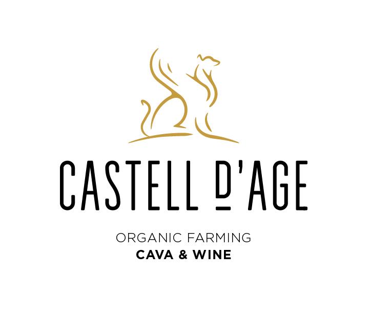 Castell D age logo