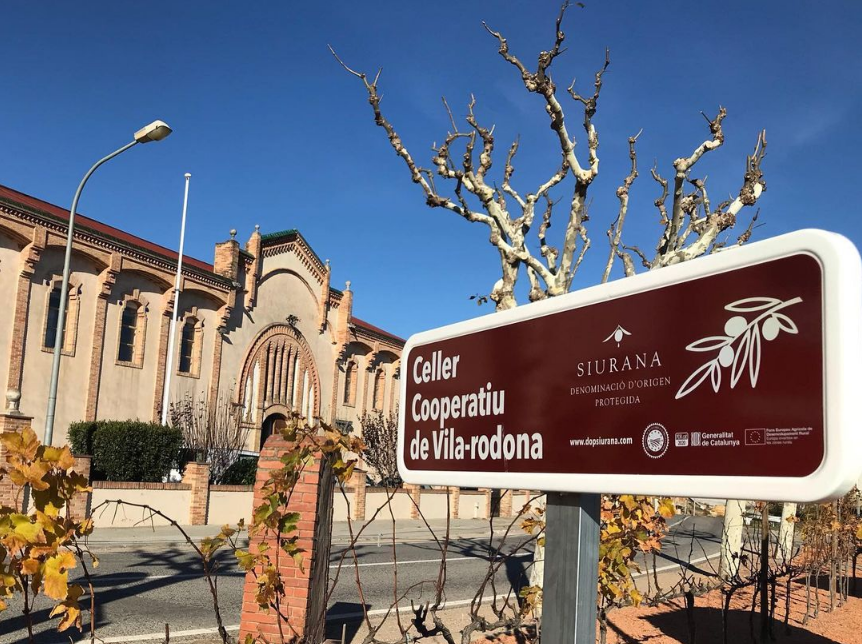 Celler Cooperatiu i Secció de Crèdit de Vila-rodona