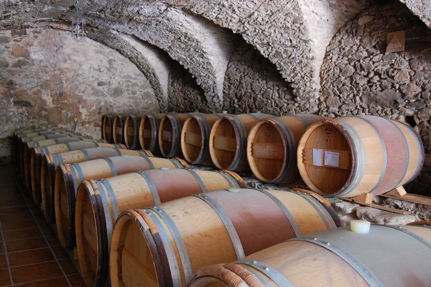 Celler Mas Romeu barricas