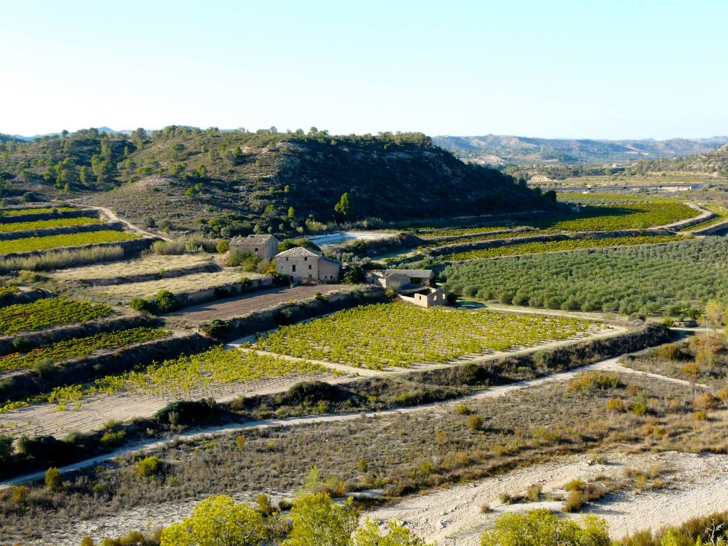 Celler Batea