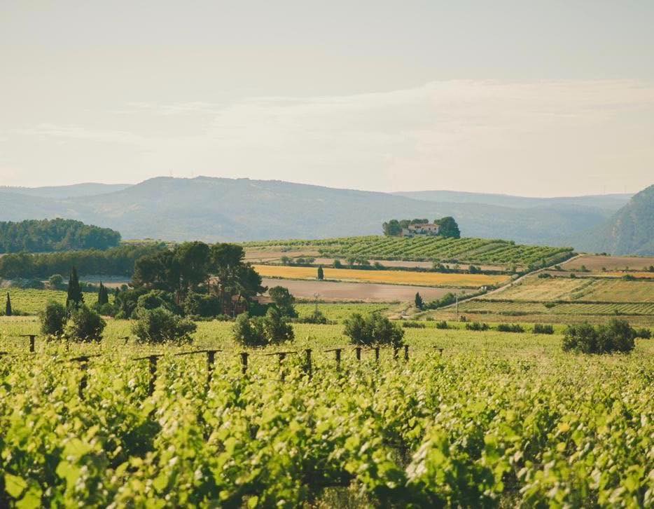 Celler del Roure