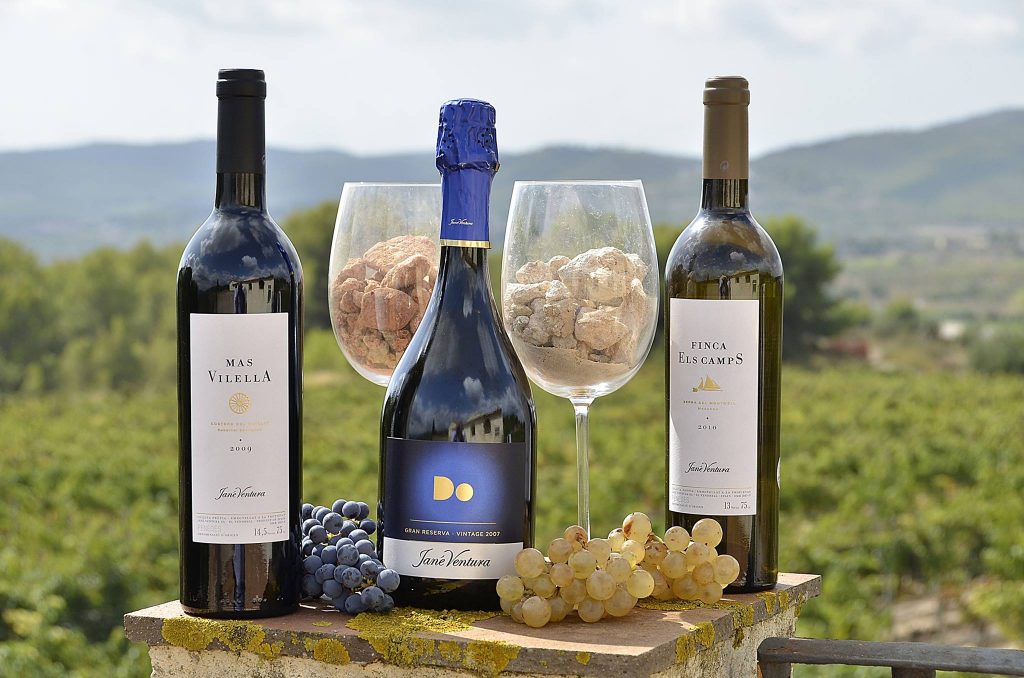 Jane ventura vinos