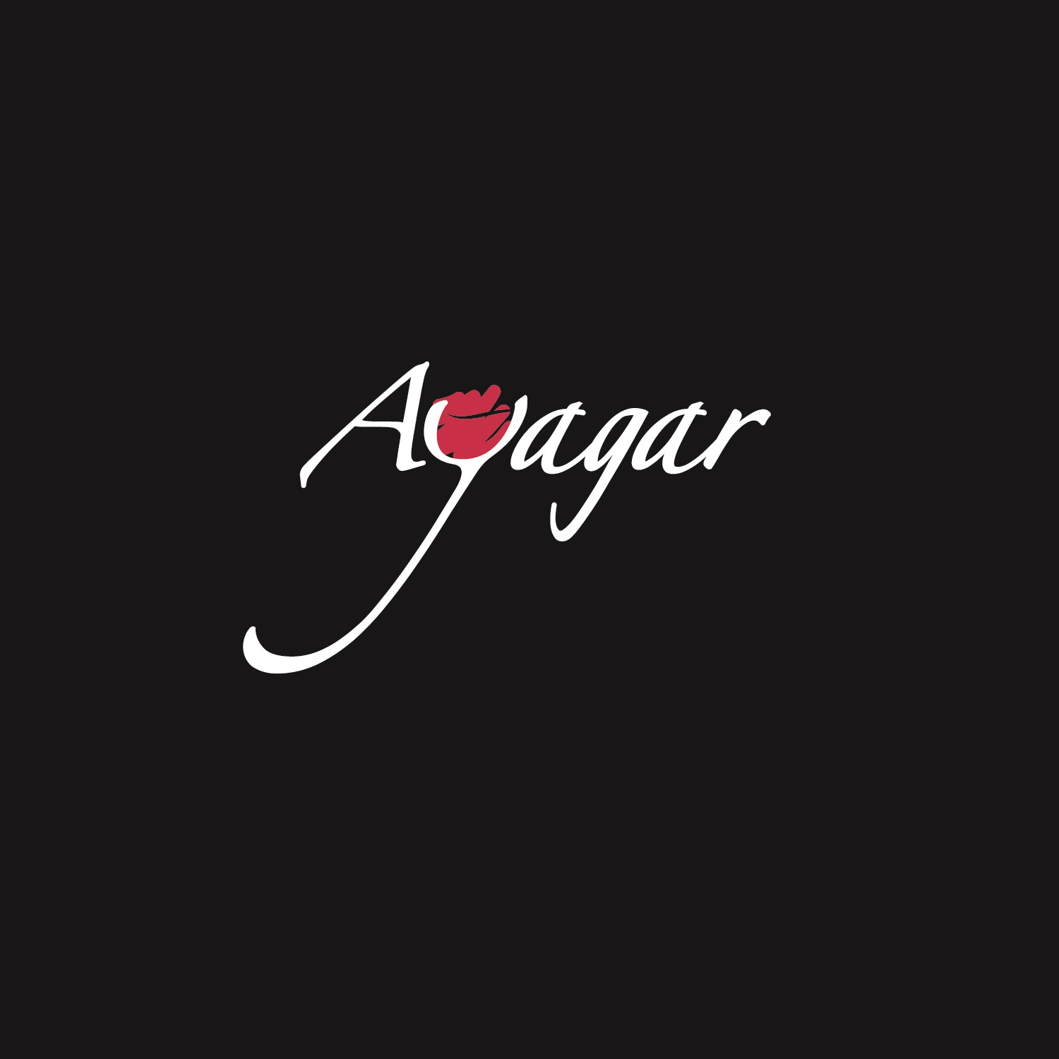 Logo Bodegas Ayagar