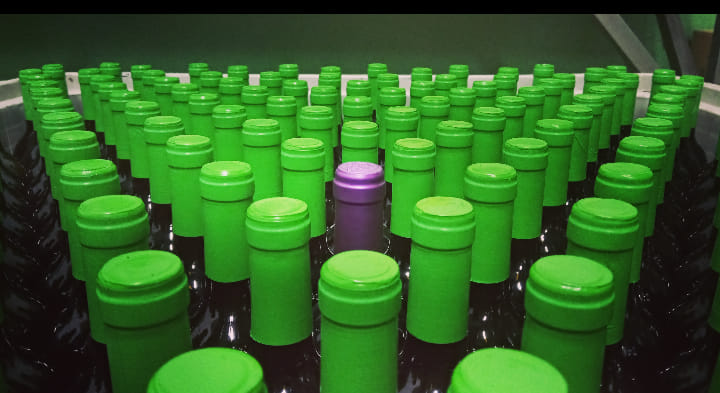 Sance Bodegas