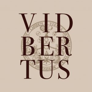VidBertus logo
