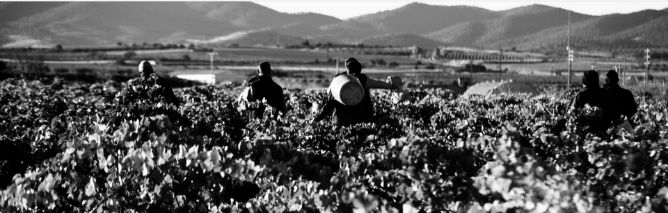 Bodega San Valero