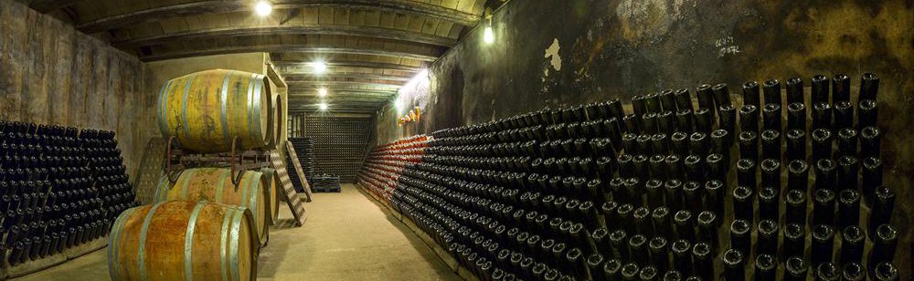 bodega sanstrave