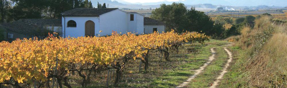 Cava Guilera