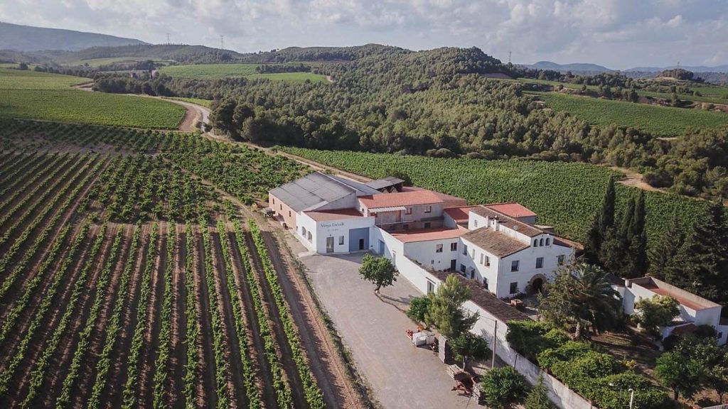 Celler Jordi Lluch - Vinya Escudé