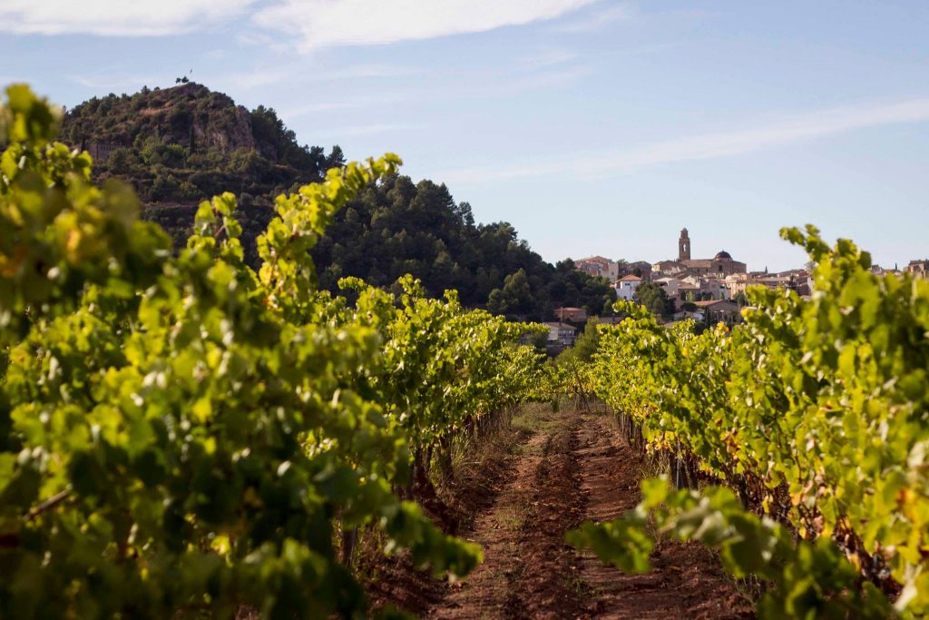 Celler Vendrell Rived