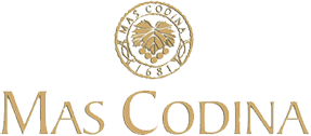 Mas Codina Logo