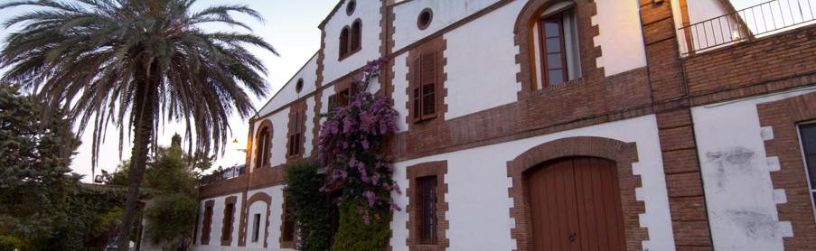 Mont Marçal Vinicola