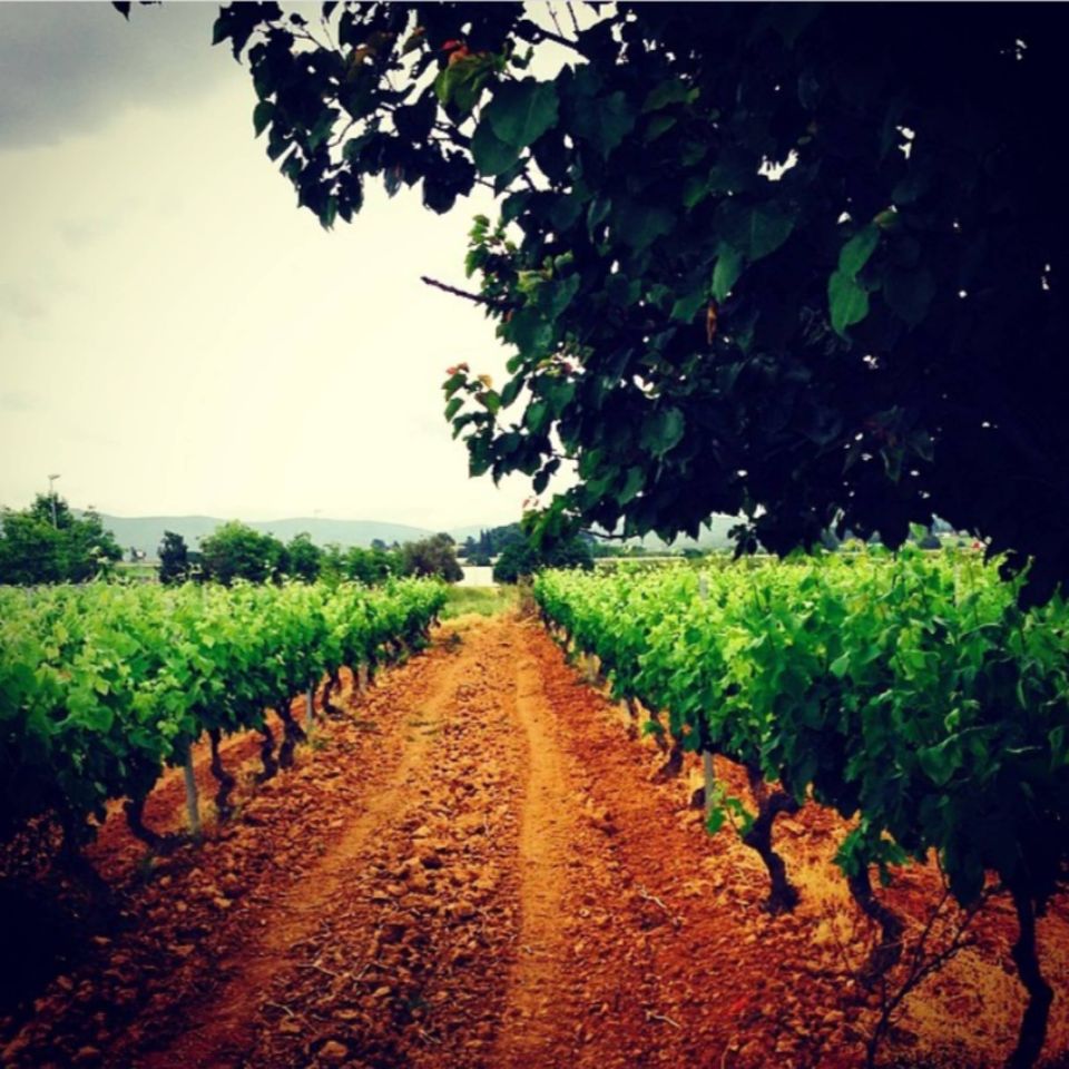 Torres Prunera