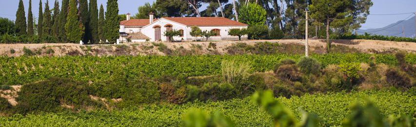 Vins I Caves Pere Olivella Galimany