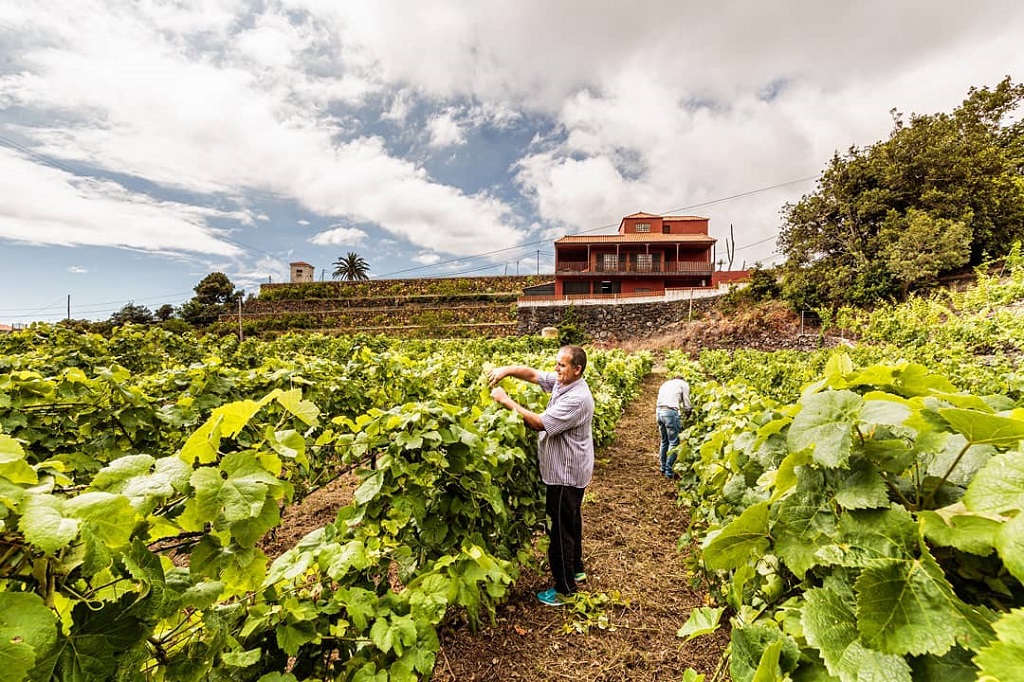 Bodega Carlos Fernández