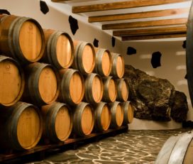 Bodega Valle De Malpaso bodega