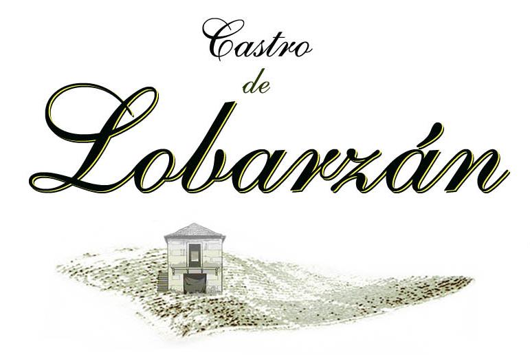 Castro de Lobarzan logo