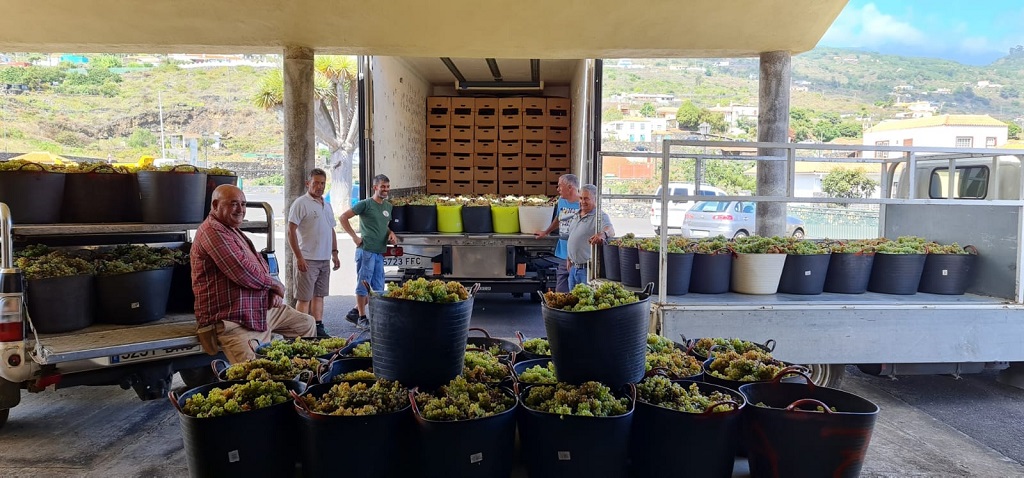 S.A.T. Bodegas El Hoyo