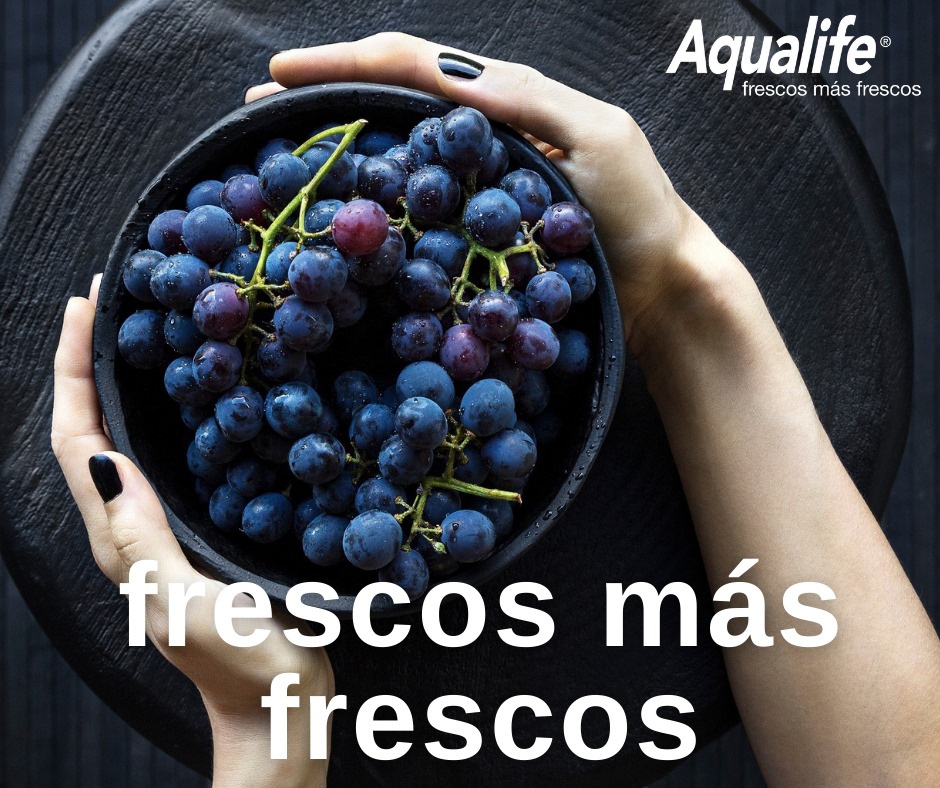 Aqualife Nebusystem Portada