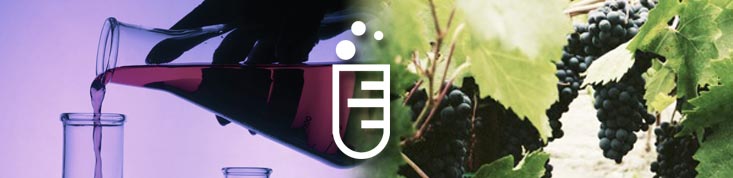 Ardoatek Portada