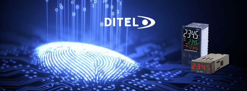 Ditel Portada