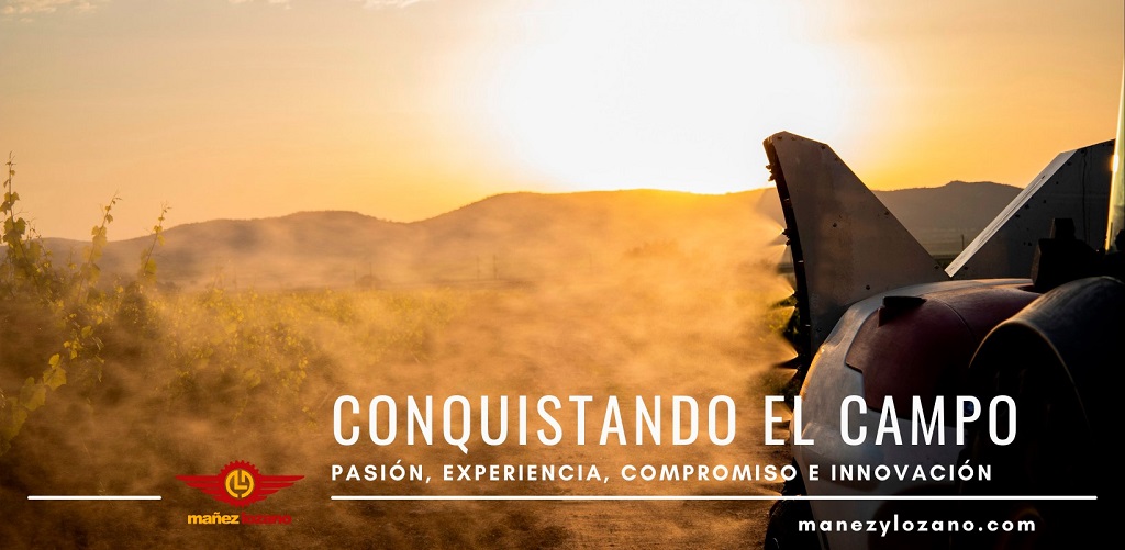 Mañez y Lozano Portada