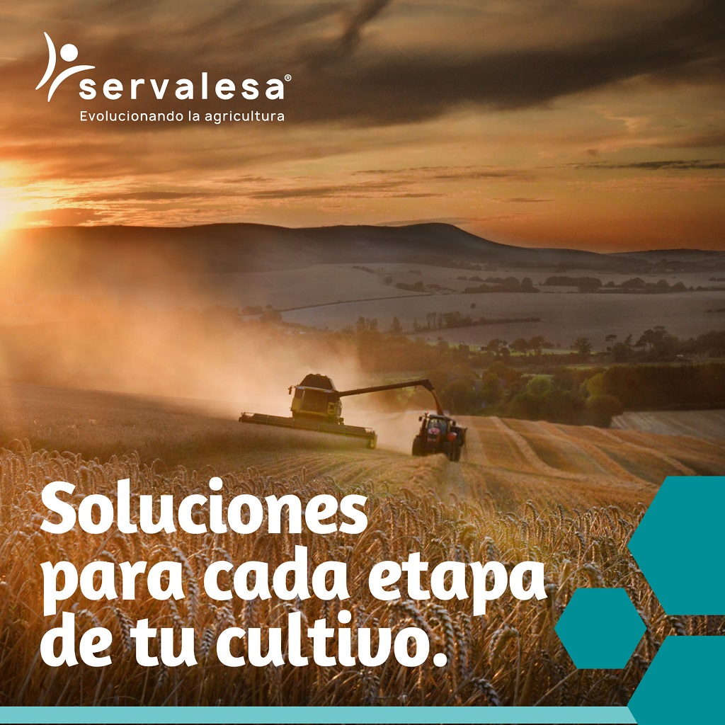 Servalesa Portada