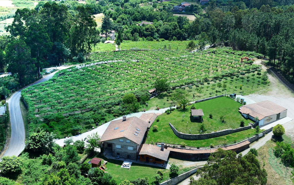 Bodega Cavadas do Val