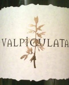 Bodega Valpiculata logo