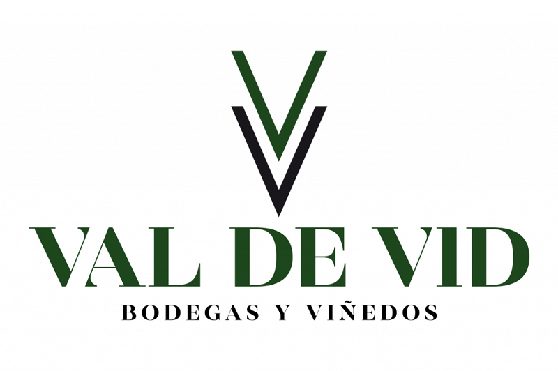 Bodegas Val de Vid logo