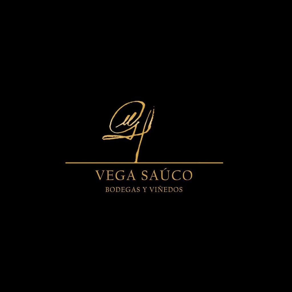 Logo Bodega Vega Saúco