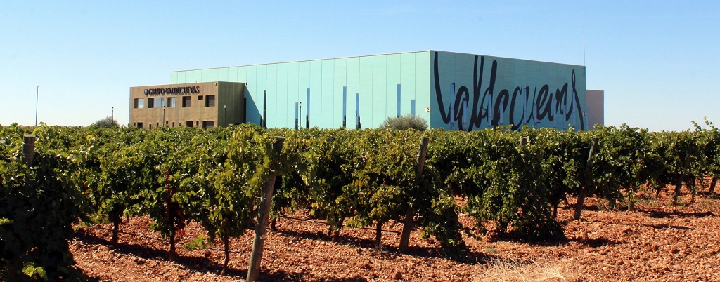 bodega valdecuevas vinedos