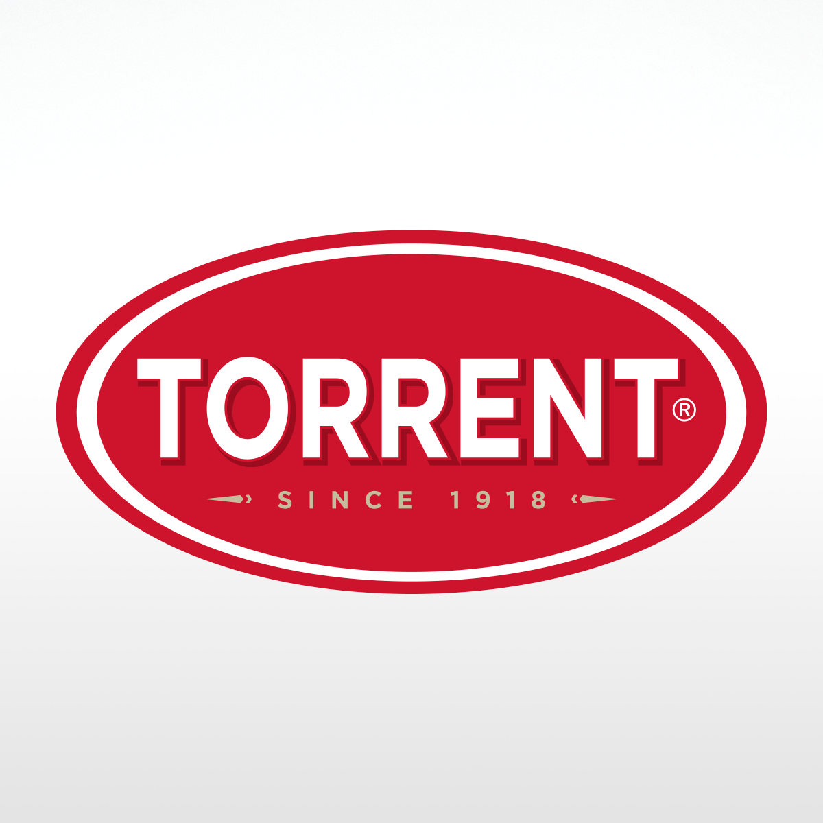 Torrent Clousures logo