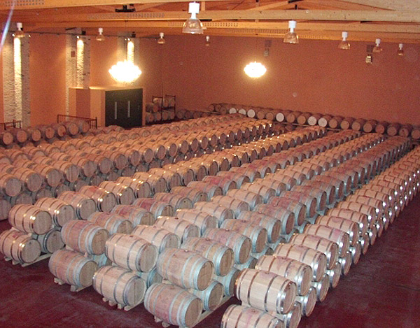 Vértice Horizontal Bodega1
