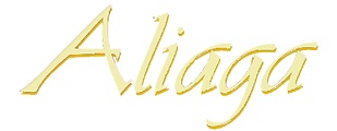 Viña Aliaga Logo