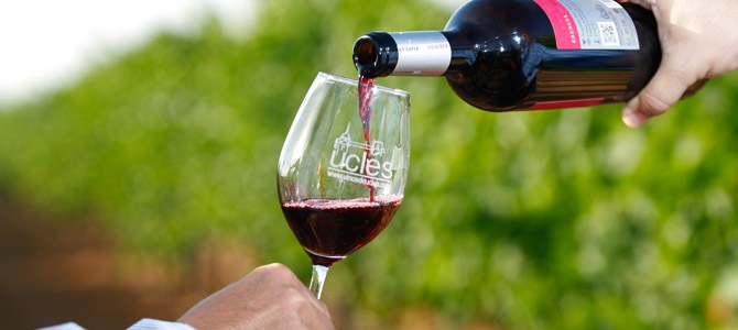 Bodegas La Defensa