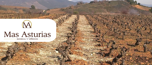 Bodegas Y Viñedos Más Asturias,S.L.U viñedos