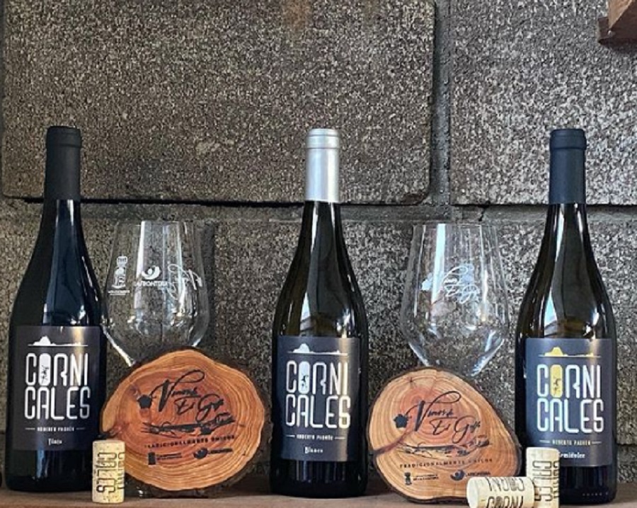 Bodega Cornicales