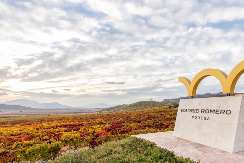 Bodega Madrid Romero