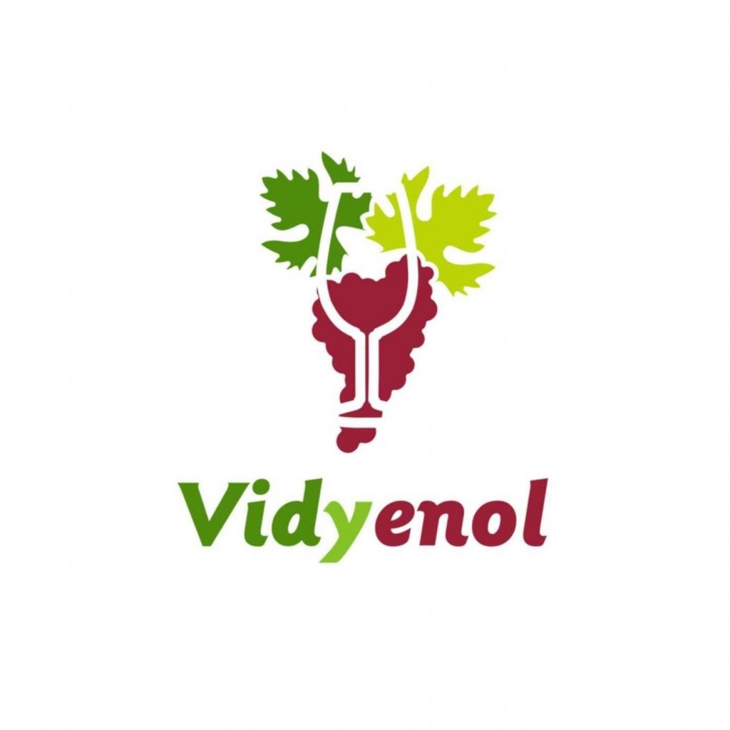 Logo Vidyenol
