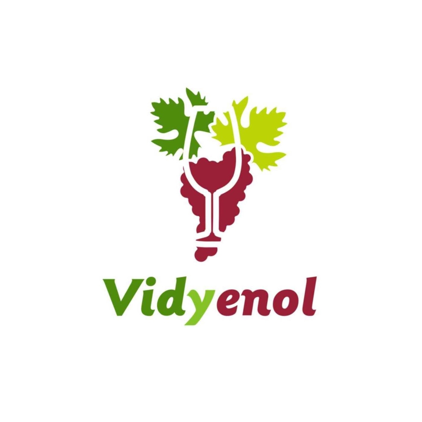 Logo Vidyenol
