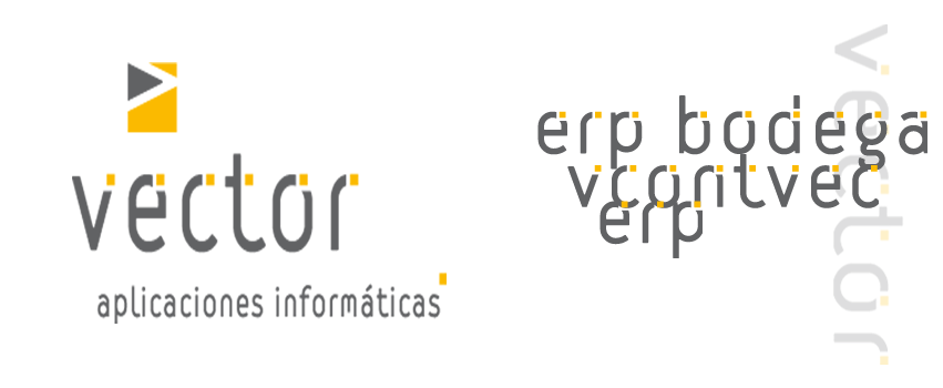 Vector Aplicaciones Informáticas