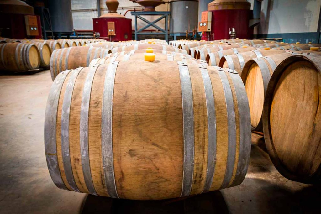 Crianza del vino en barricas de madera