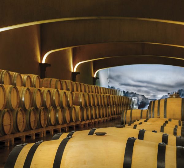 Bodegas Altun Barricas