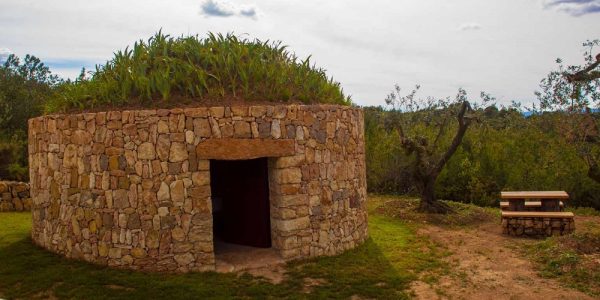 Barraca entre Viñedos