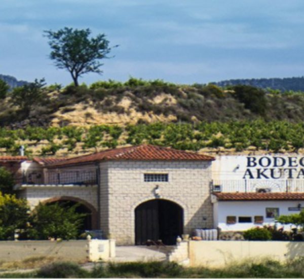 Bodega Akutain