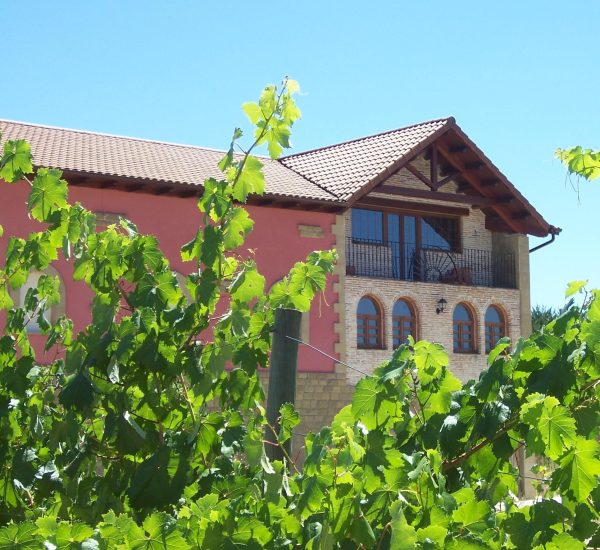 Bodegas Finca Cienvacas