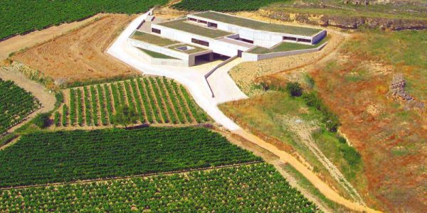 Bodega Contador