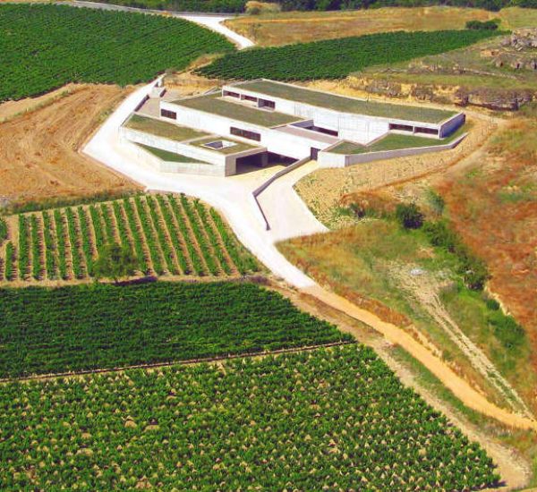 Bodega Contador