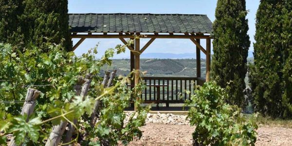 Bodega Don Balbino